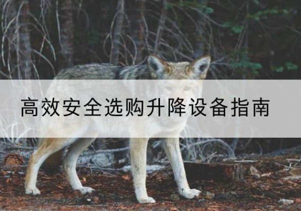 喀喇沁左翼升降货梯厂家推荐-*安全选购升降设备指南