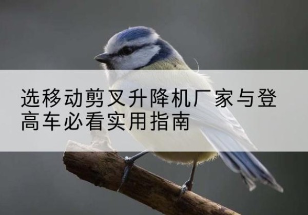 喀喇沁左翼电动升降机厂家-选移动剪叉升降机厂家与登高车必看实用指南
